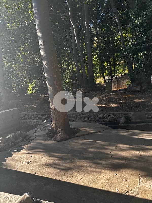 Faraya Chalet for new year!! HOT PRICE FOR 2 NIGHTS!! 10