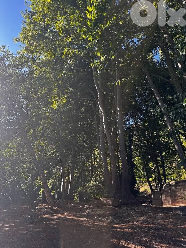 Faraya Chalet for new year!! HOT PRICE FOR 2 NIGHTS!! 11