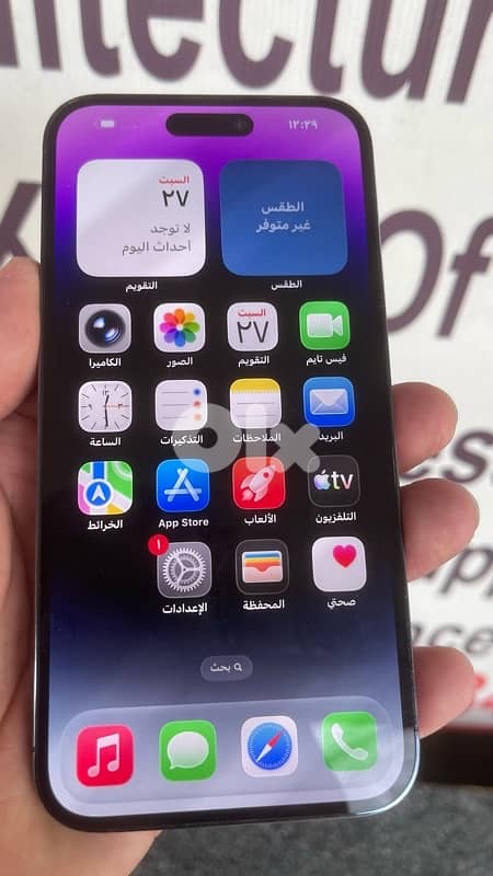 14 pro max 256 2 sim 2