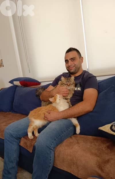 Professional Pet Sitter – Home Visits for Dogs & Cats