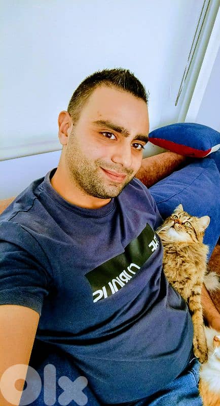 Professional Pet Sitter – Home Visits for Dogs & Cats 1