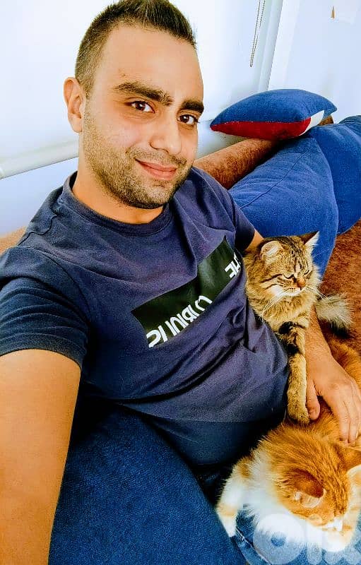 Professional Pet Sitter – Home Visits for Dogs & Cats 2