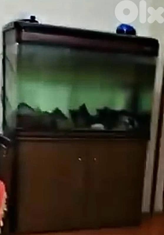 aquarium for the fish, big size with cupoard and filters 6