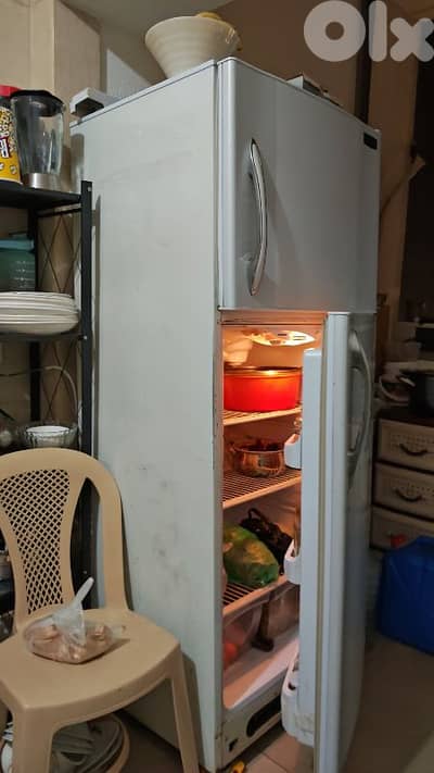 Concorde refrigerator big size