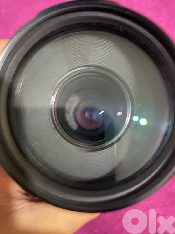 5d mark iv + lens 75-300mm 8