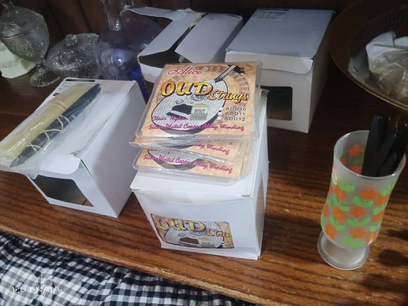 اعواد زرياب الصوت الذي يلامس الروح 13