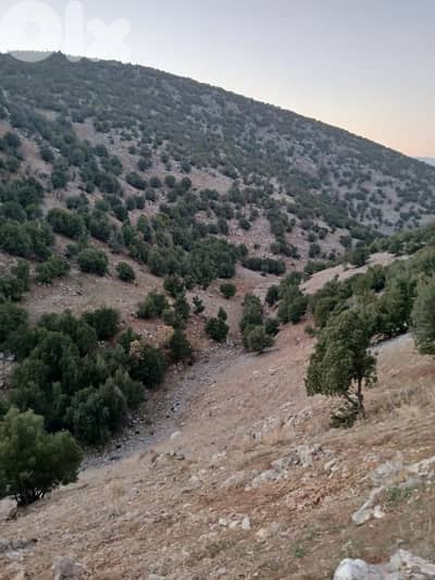 أرض للبيع في راشيا الواديland for sale in rashaya
