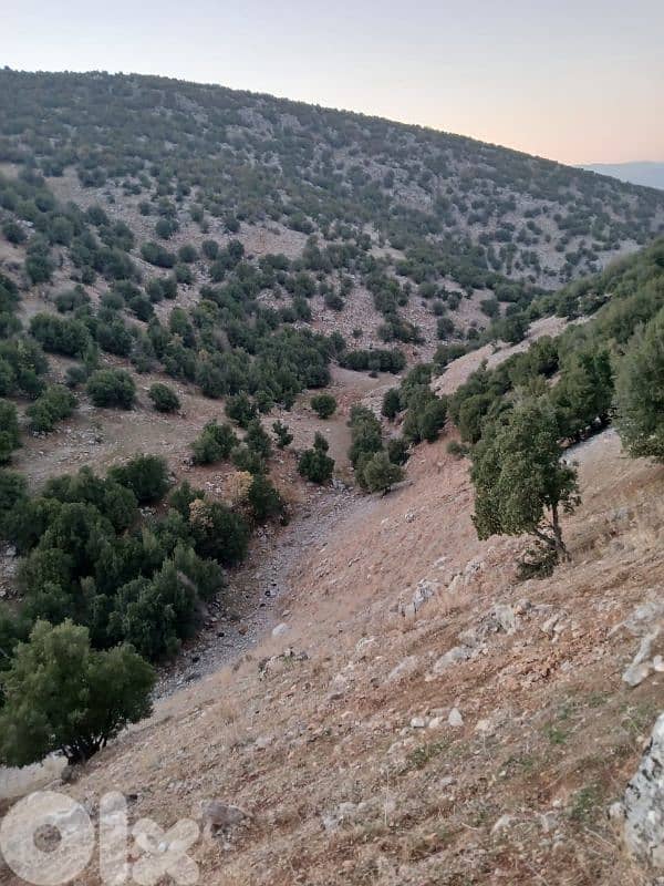 أرض للبيع في راشيا الواديland for sale in rashaya 1
