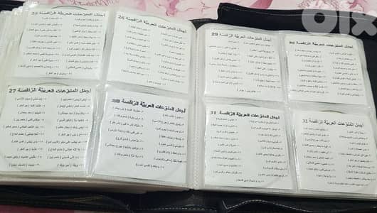 More Than 250 CDS Songs (03/096346)