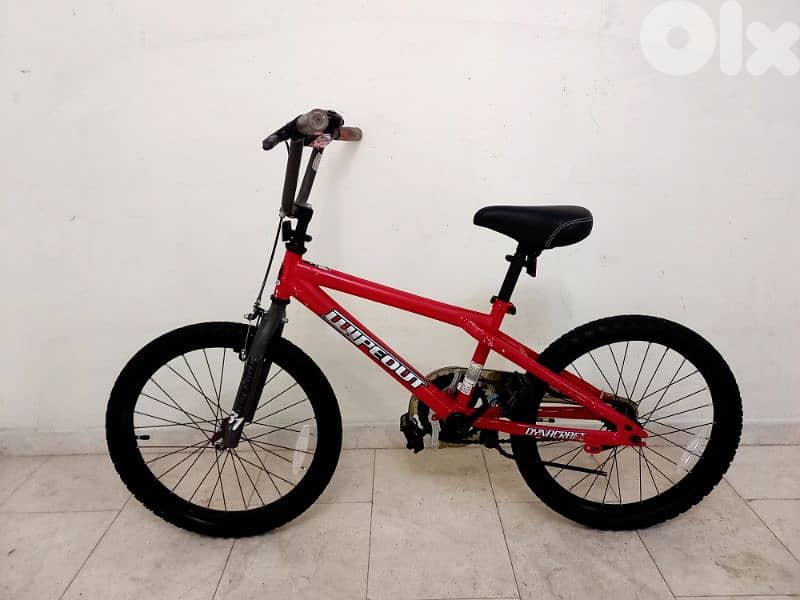 بسكليت اوروبي 1