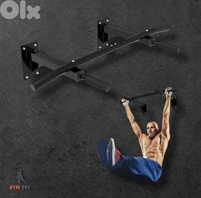 wall mounted chin/pull up bar