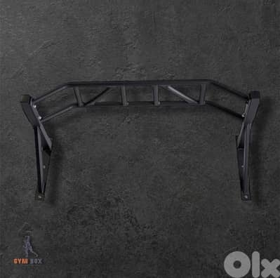 wall mounted pull up bar
