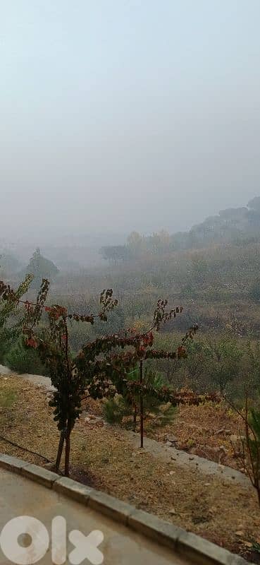 إحتفل برأس السنة في  Tulai Guesthouse بيت الضيافة في الباروك - الشوف 10