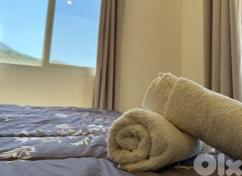 إحتفل برأس السنة في  Tulai Guesthouse بيت الضيافة في الباروك - الشوف 16