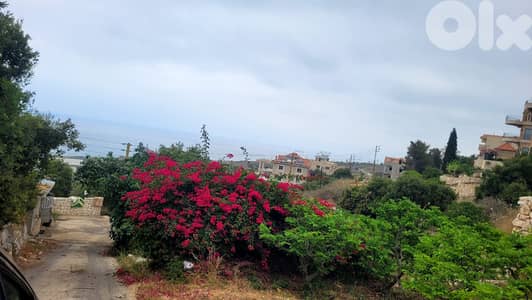 Land for sale in Berbara- أرض للبيع في بربارة