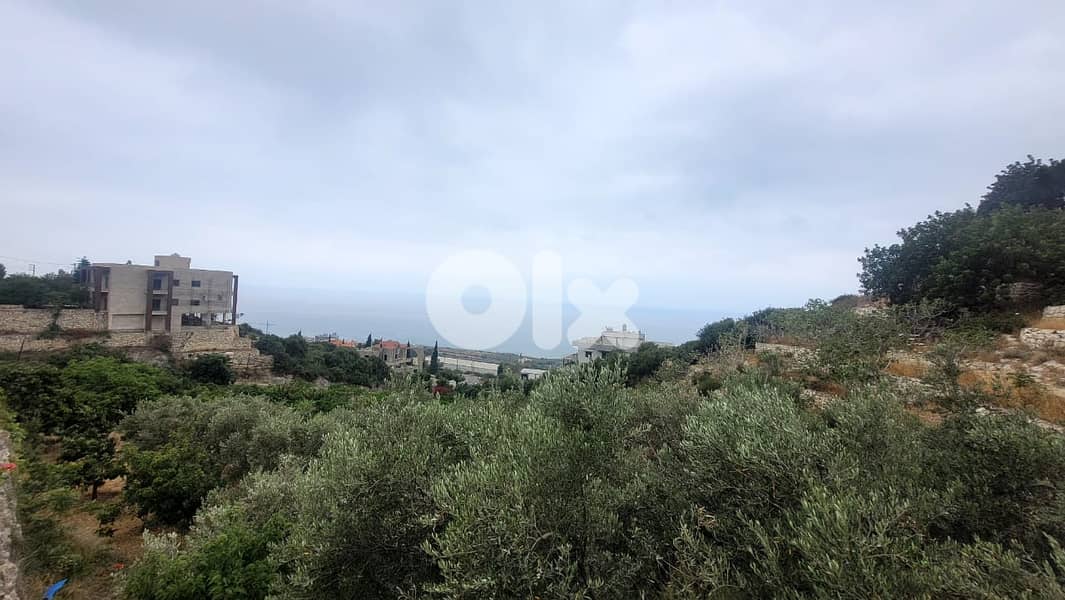 Land for sale in Berbara- أرض للبيع في بربارة 1