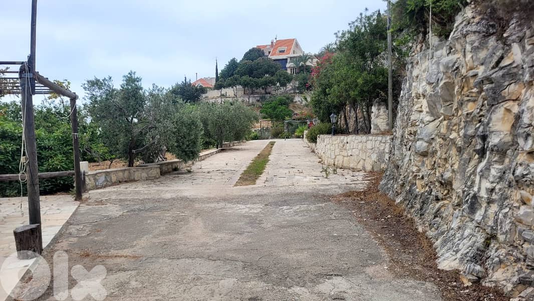 Land for sale in Berbara- أرض للبيع في بربارة 6