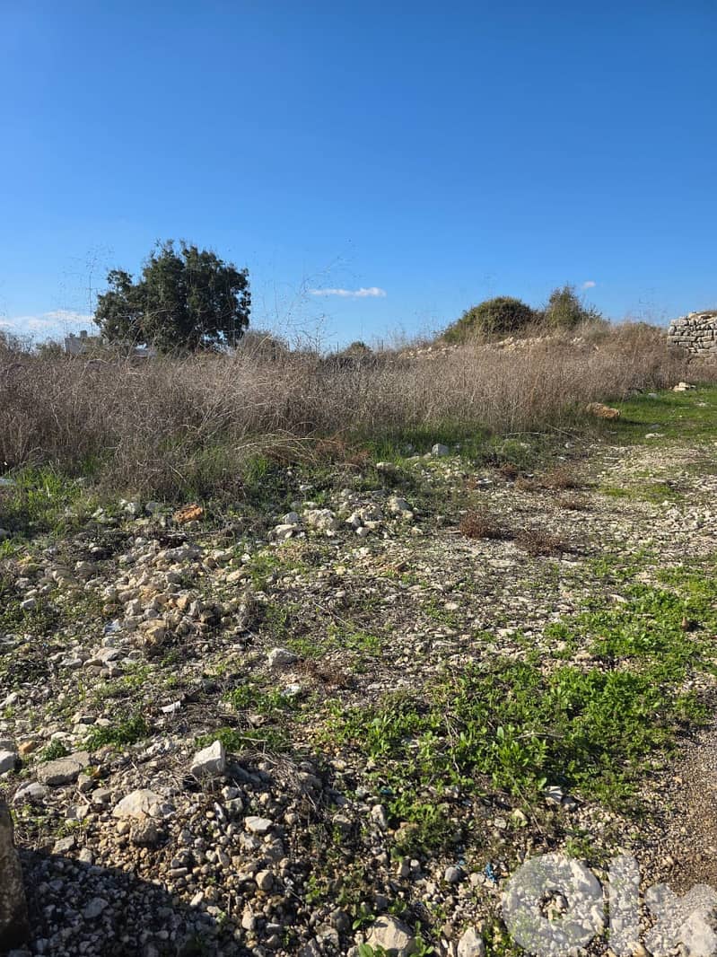 Prime Land for Sale – Edde, Batroun 1