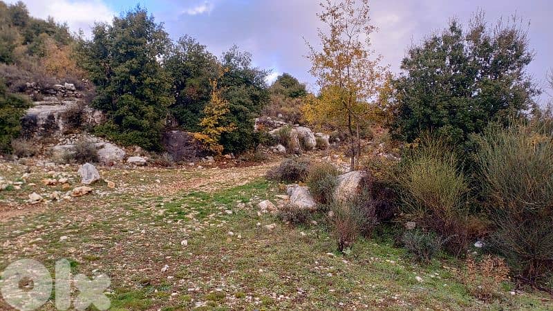أرض"لقطة" للبيع  ببلدة بشعلةlands for sale in Bchaaleh 2