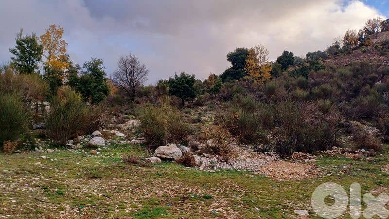 أرض"لقطة" للبيع  ببلدة بشعلةlands for sale in Bchaaleh 3