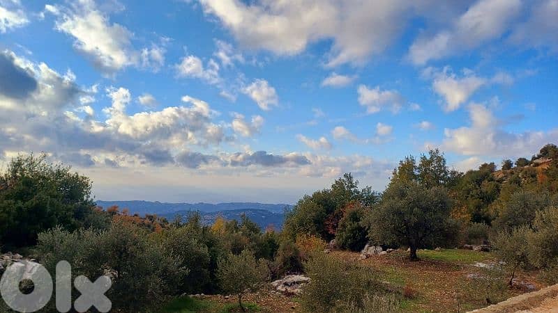 أرض"لقطة" للبيع  ببلدة بشعلةlands for sale in Bchaaleh 4