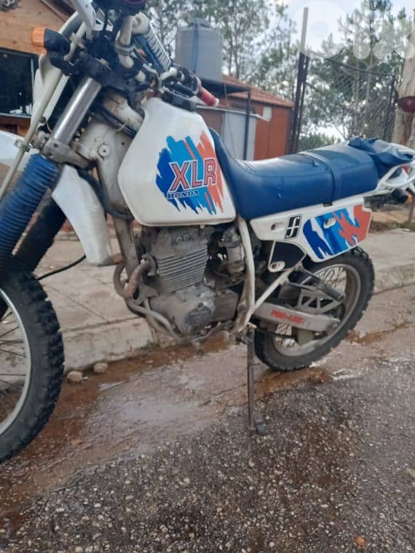 XLR Honda 250 1