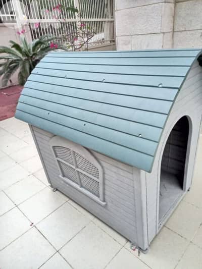 dog home
