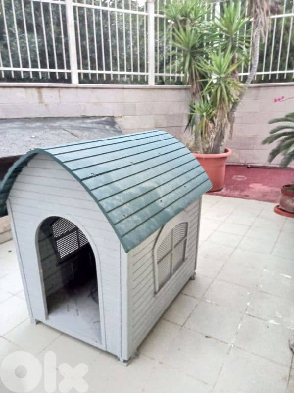 dog home 1