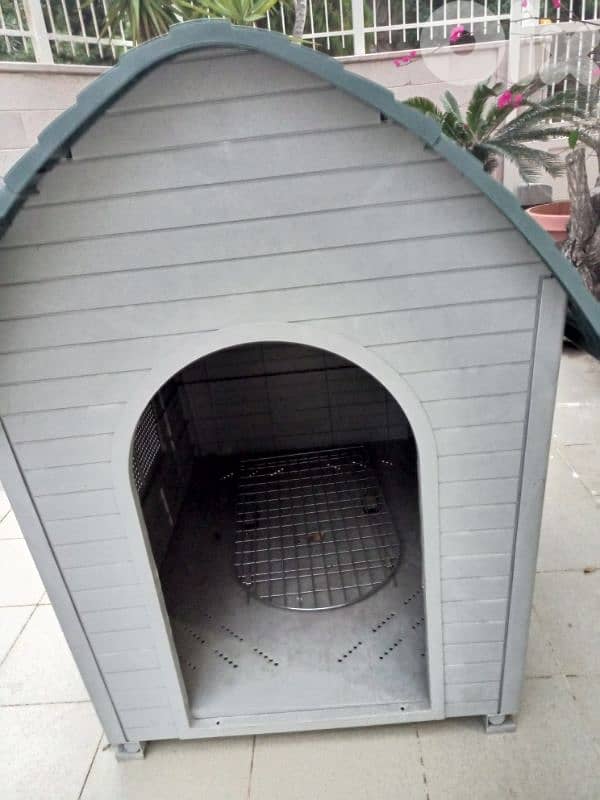 dog home 2