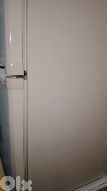 براد بوخار 4