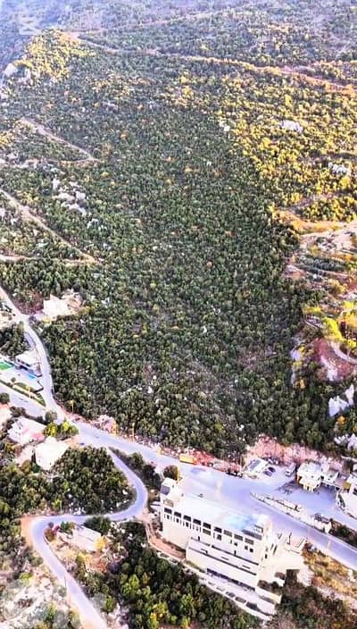 lands for sale in Doumaأرض للبيع في دوما