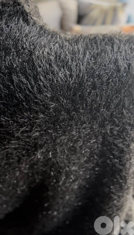 CALVIN KLEIN ORIGINAL FUZZY TOPS 3