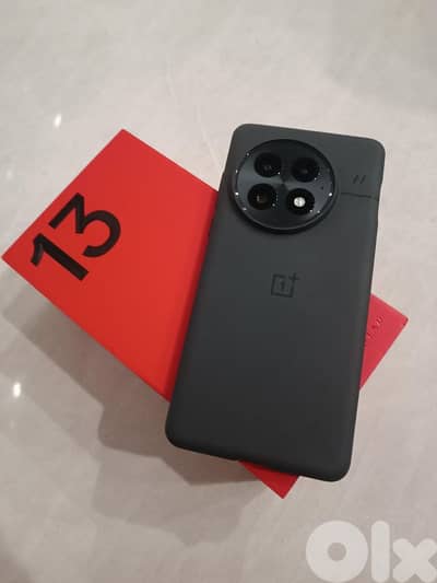 oneplus 13