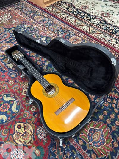 guitar case ( hard case )