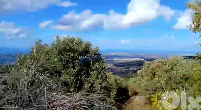 Land for Sale in Bouchtoudarأرض للبيع في بوشتودار 6