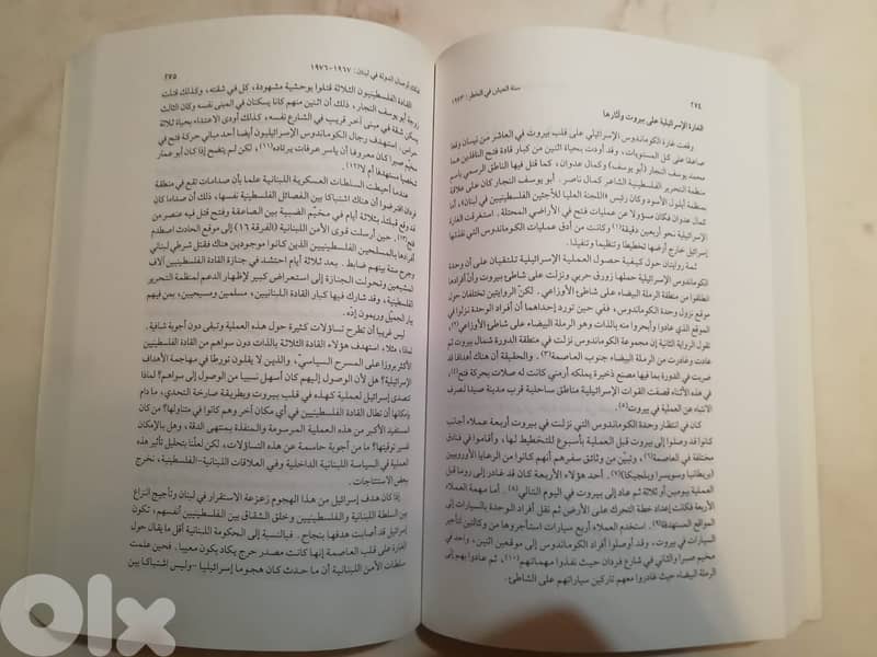 تفكك أوصال الدولة في لبنان 1967 - 1976 2
