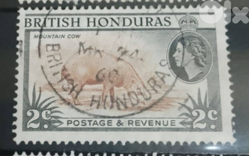 elezabthi British honduras 1