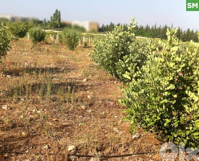 للبيع أرض في حلبا – مفرق تل عباس REF#SM130833