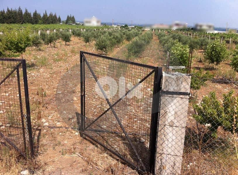 للبيع أرض في حلبا – مفرق تل عباس REF#SM130833 1