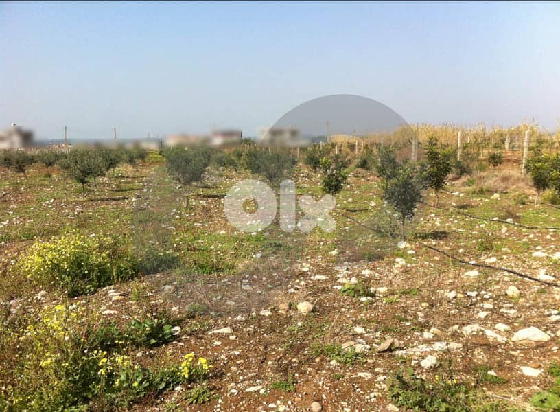 للبيع أرض في حلبا – مفرق تل عباس REF#SM130833 3