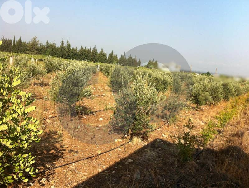 للبيع أرض في حلبا – مفرق تل عباس REF#SM130833 4