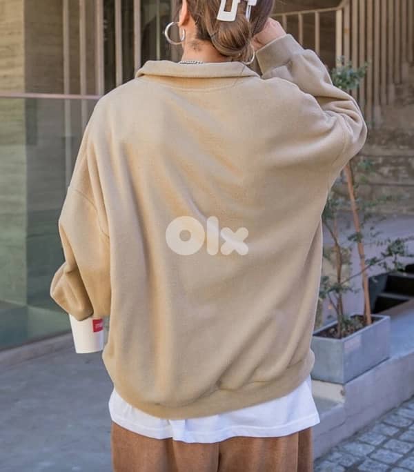 Beige Quarter-Zip Sweatshirt (Relaxed Fit) 1