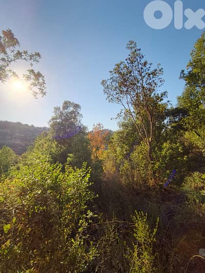 Land for sale in Kfarhatna-Batroun أرض للبيع في كفرحتنا-البترون