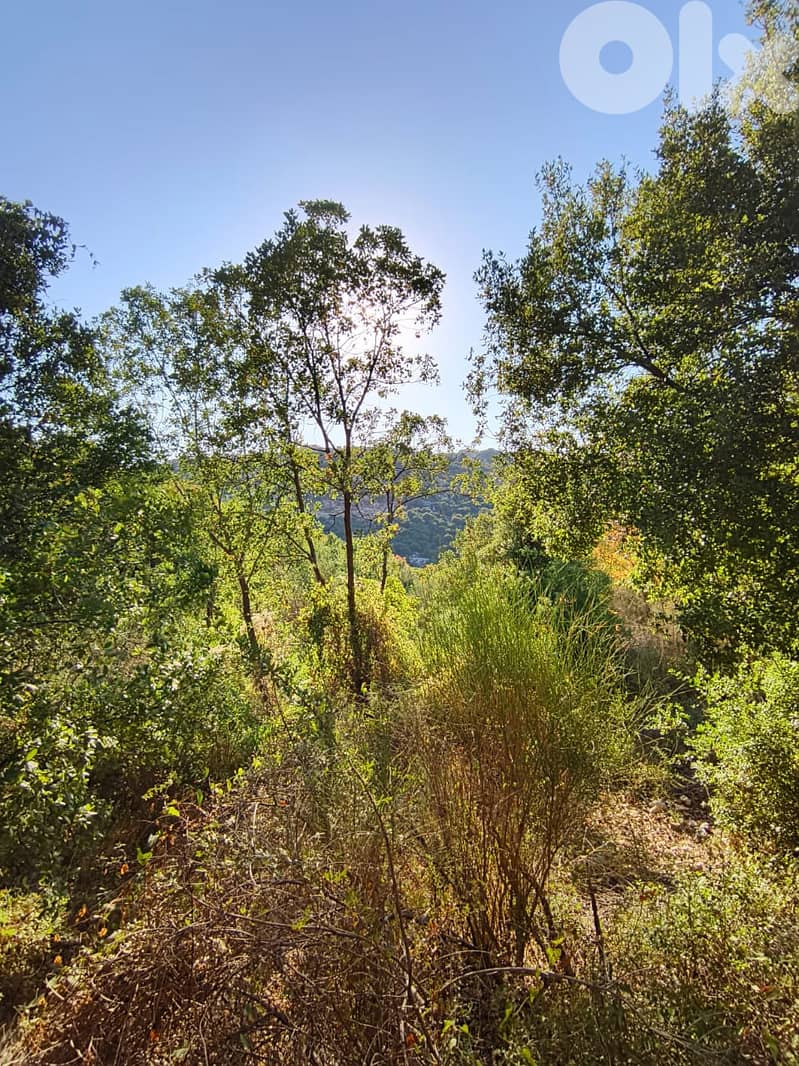 Land for sale in Kfarhatna-Batroun أرض للبيع في كفرحتنا-البترون 1