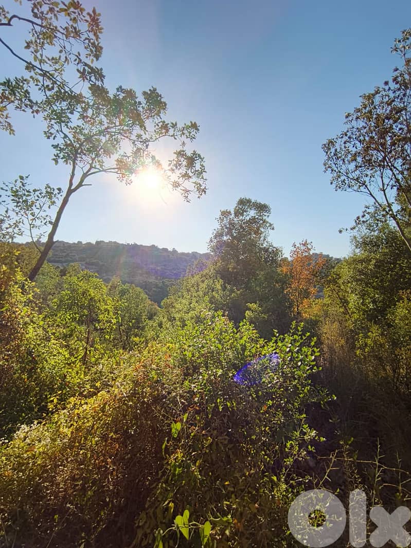 Land for sale in Kfarhatna-Batroun أرض للبيع في كفرحتنا-البترون 2