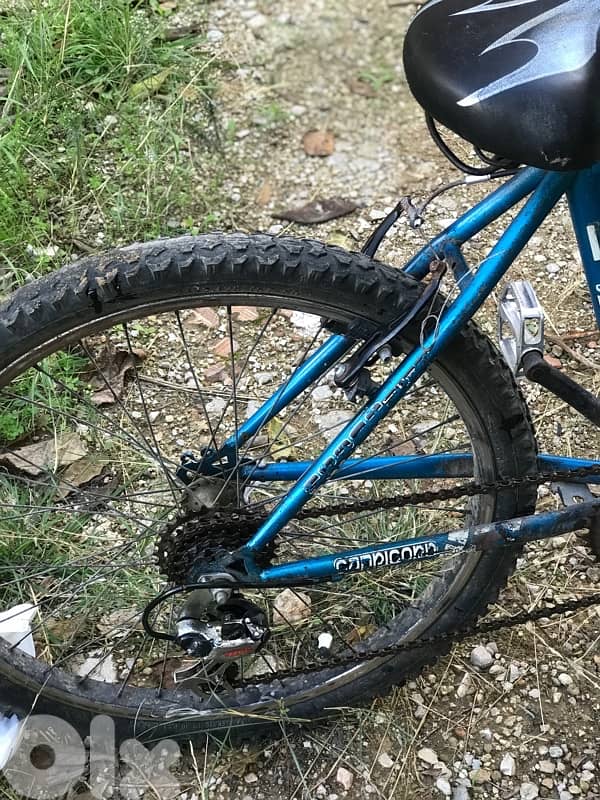 sport bike and for hiking 1