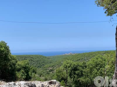 Land for rent in Hamat - أرض للإيجار في حامات