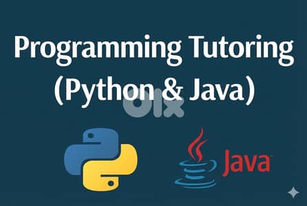 Programming Tutoring (Python & Java)