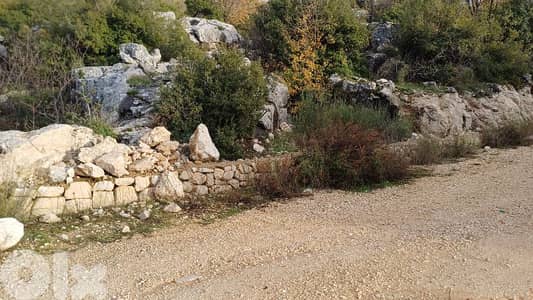 lands for sale in Bchaaleh أرض للبيع في بشعلة