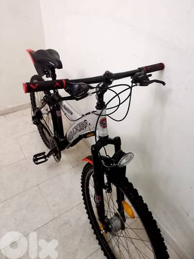 بسكليت Germany